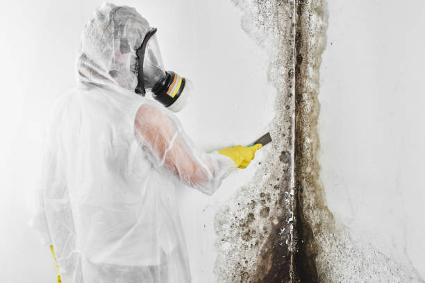 Best Mold Testing  in Syracuse, UT