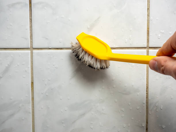 Professional Mold Removal in Syracuse, UT