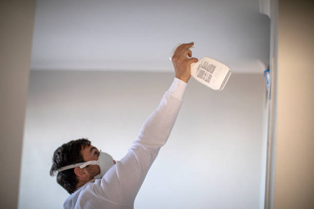 Best Emergency Mold Removal  in Syracuse, UT