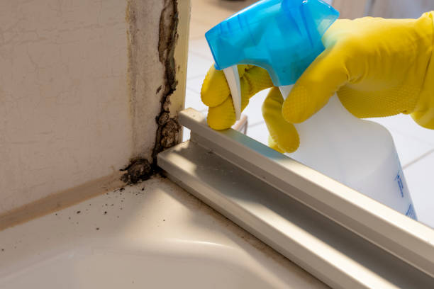 Water Damage Restoration in Syracuse, UT